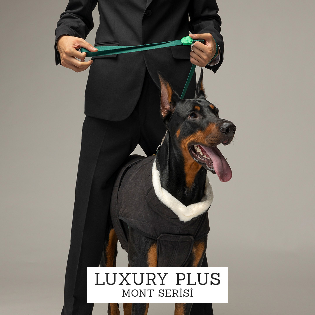 Luxury Plus Köpek Montu