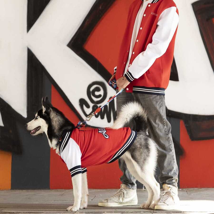 Capitals dog jersey best sale